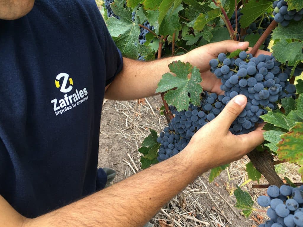 Zafrales Agro