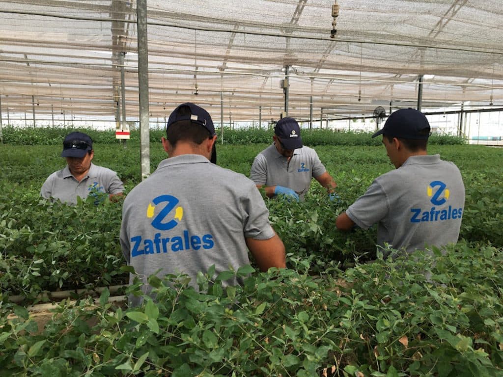 Operaciones agrícolas eficientes