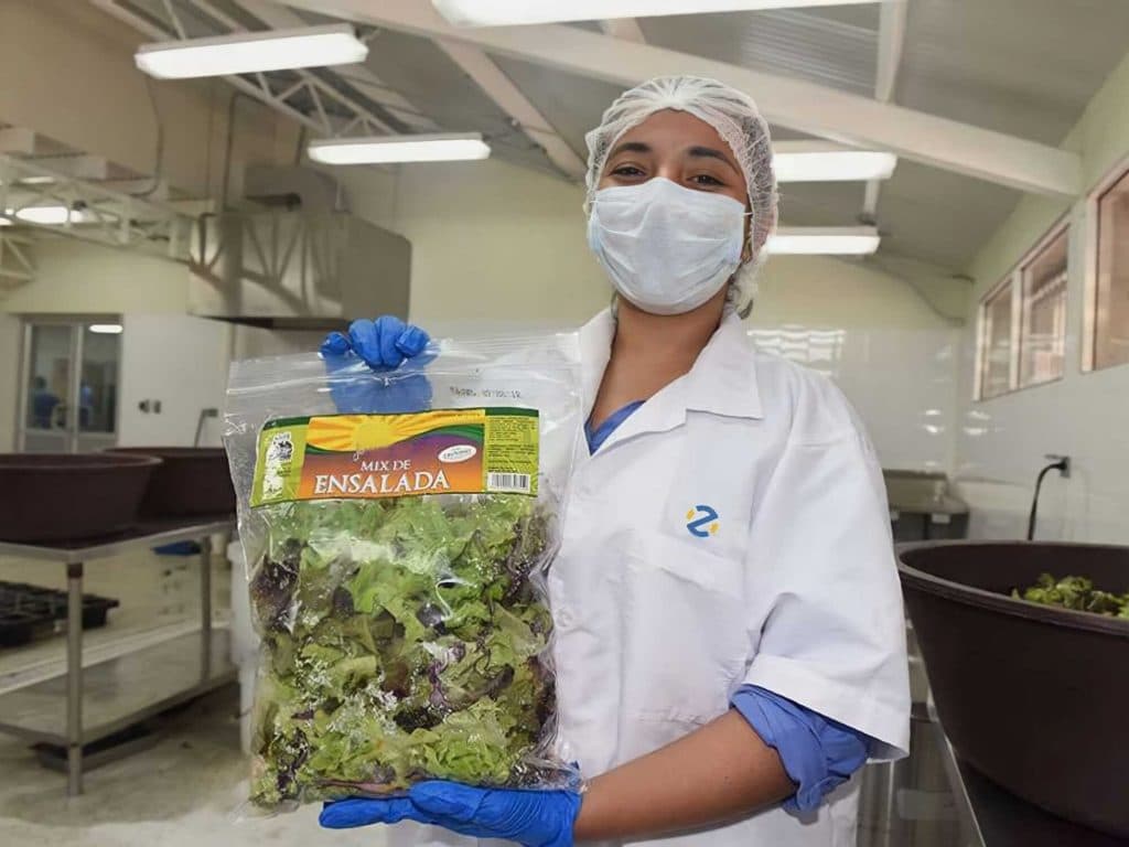 Trabajadores industriales en producción